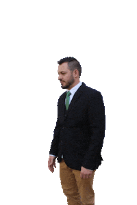 verdegto partidoverde pvgto verdeguanajuato verdeecologista Sticker