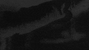 Germany Horror GIF by Wired Productions