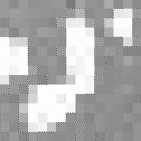 GIF by William Wolfgang Wunderbar