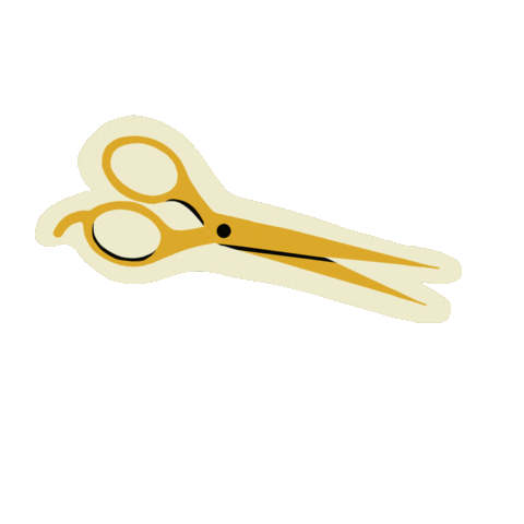 arielledesignshair giphyupload haircut scissors hairsalon Sticker