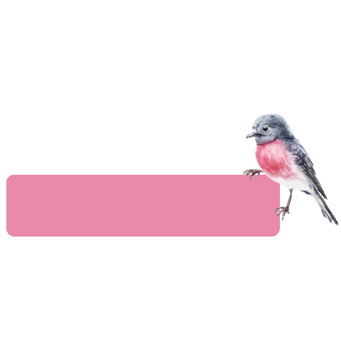 News Bird Sticker by Manufaktura_cz