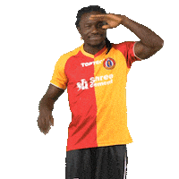 sceastbengal joy daniel eb chima Sticker