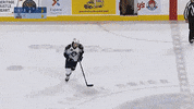 GIF by Milwaukee Admirals