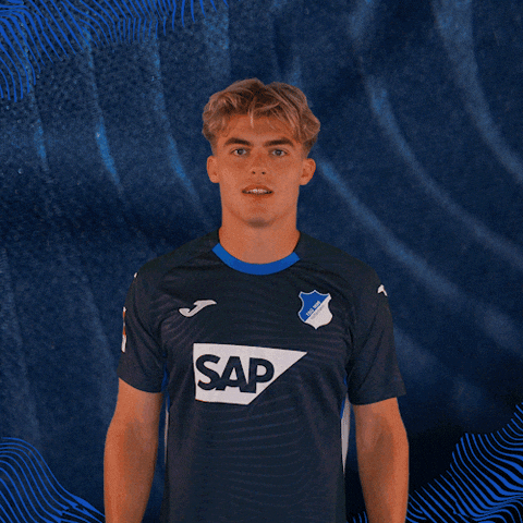 Sport Bundesliga GIF by TSG Hoffenheim