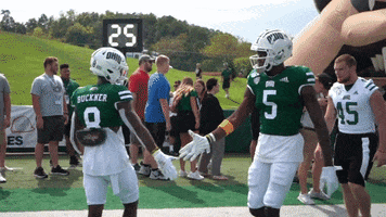 OhioBobcats football cats ncaa college football GIF