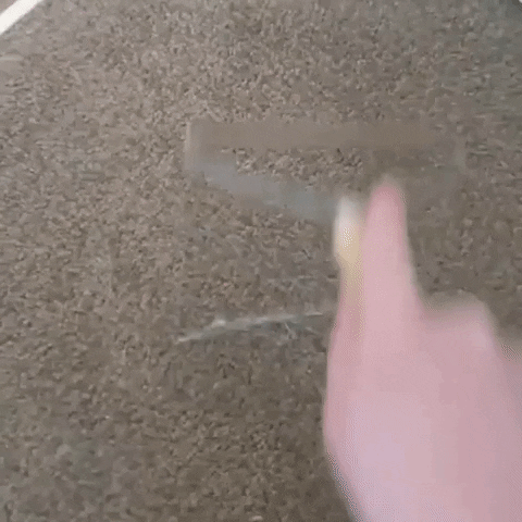 Puppiemate giphyupload lintroller lintremover GIF