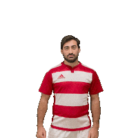 Try Meta Sticker by RIMINI RUGBY