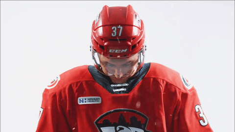 GIF by Charlotte Checkers