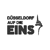 fdp-duesseldorf duesseldorf fdp düsseldorf fdpduesseldorf Sticker