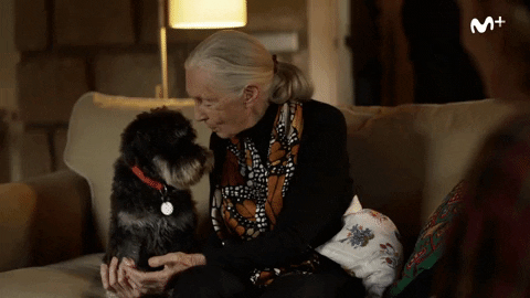 Jane Goodall Animal Love GIF by Movistar+