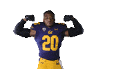 Ncaa Football Go Bears Sticker by Cal Athletics