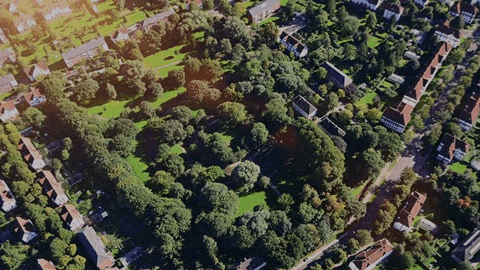 bauvereinruestringen giphyupload park entspannung wilhelmshaven GIF