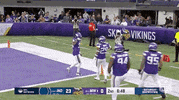 Minnesota Vikings Football GIF by NFL