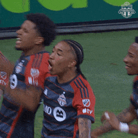 Bmo Field Football GIF by Toronto FC