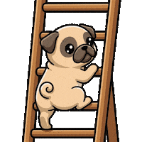 Dog Moving Sticker by Pugs