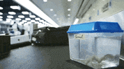 conan o'brien GIF by Team Coco