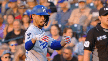 Los Angeles Sport GIF by MLB