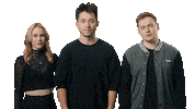 VIZEMUSIC win team check success Sticker