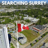 Business Surrey GIF by Oi