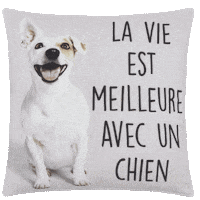 Home Dogs GIF by Bouclair