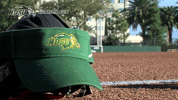 north dakota state bison GIF by NDSU Athletics