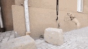 parkour GIF by Digg