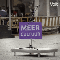 Verkiezingen Stemvolt GIF by VoltNL