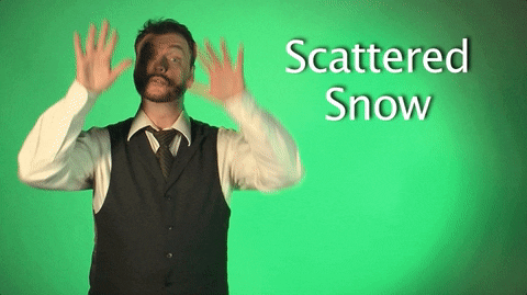 sign language scattered snow GIF by Sign with Robert