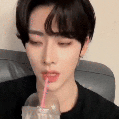 K-Pop Cat GIF