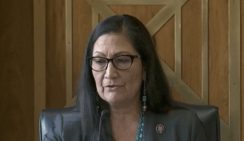 Deb Haaland Confirmation Hearing GIF by GIPHY News