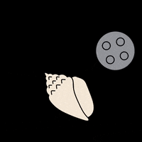 MiamiFilm miamiff GIF