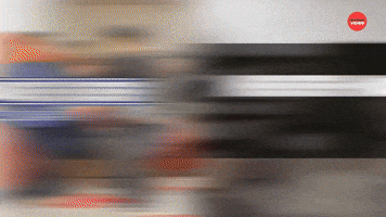 Never Have I Ever Cheated On A Test