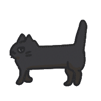 Black Cat Sticker by bunny_is_moving