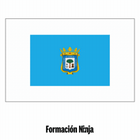 Flag Pixel Art GIF by Formación Ninja