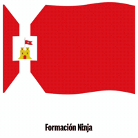 Bandera Zaragoza GIF by Formación Ninja