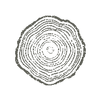 CornerTreeCafe cornertreecafe corner tree cornertree corner tree cafe Sticker