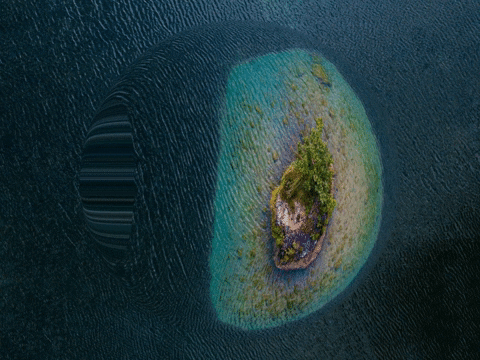 You Can Wow GIF by FranchiseONE.de