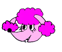 nyanndrea dog cool animal eyes Sticker