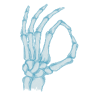 Radionuclear ok radio hand bom dia Sticker