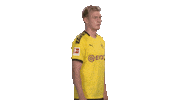Proud Line Up Sticker by Bundesliga