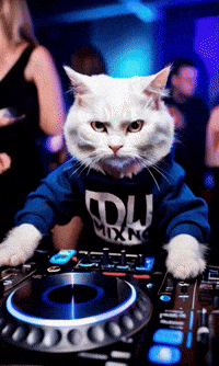 Cat Dj GIF by systaime