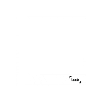 Polaroid Foceni Sticker by Laab