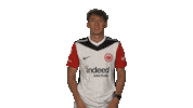 Eintracht Frankfurt Sticker by Bundesliga