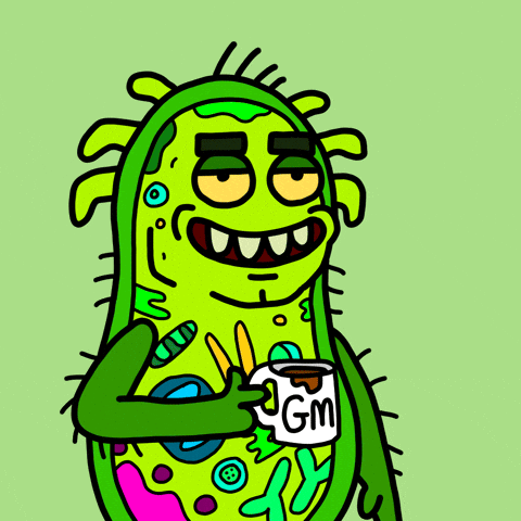 Good Morning Hello GIF by herbertonic