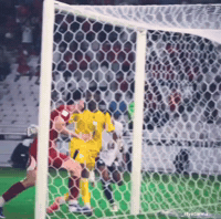 Timnas Indonesia GIF