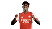 Celebrate Premier League Sticker by Arsenal