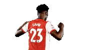 Celebrate Premier League Sticker by Arsenal