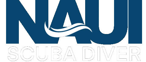 Diving Scuba Sticker by NAUI