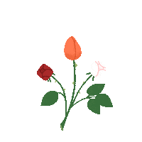 valentines day rose Sticker by Quinn the Fox