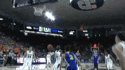 usuqueta GIF by Utah State University